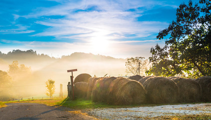 Round Hay Bales Along Country Road © Patrick Jennings