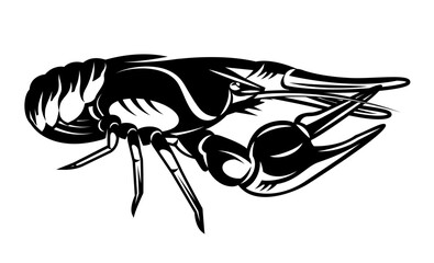Vector illustration with crayfish on white background