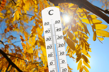 Thermometer vor Baum mit Herbstfärbung