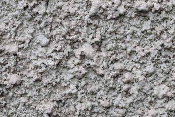 Texture mur blanc gris crépit 