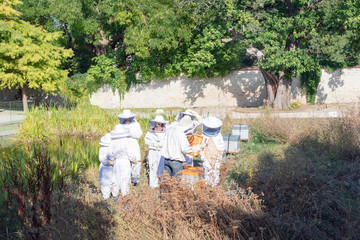 Modern beekeeping, group of apiarists farmers in protective suit