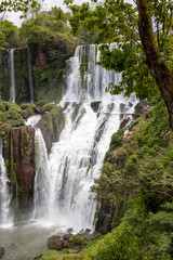 Fototapeta premium Cachoeira no meio da floresta