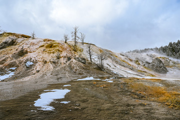 Mammoth Springs Terrace 4
