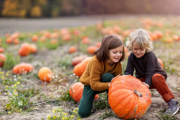 Two little boys having fun in a pumpkin patch
