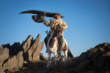 Old traditional kazakh eagle hunter posing with his golden eagle in the mountains. Ulgii, Western...