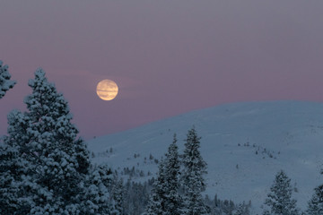 January full moon at 4 p.m. in Lapland