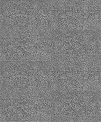 Fototapeta na wymiar The black and white image grainy lines, dots, shapes, forms. Retro halftone stippled background. Ideas for your graphic design, banner, poster, packaging, for site or more