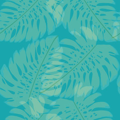 Monstera transparent tropical leaves pattern