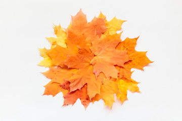 Orange round frame of maple leaves on white