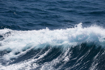 Waves of stormy cold sea on the south of Iceland