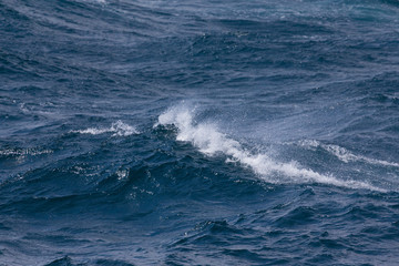 Obraz premium Waves of stormy cold sea on the south of Iceland