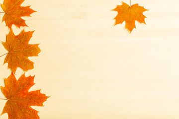 Naklejka na ściany i meble Composition of bright autumn leaves on a light background. Toned