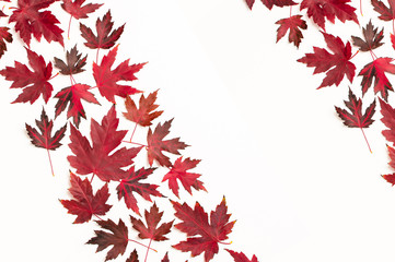 Autumn composition. Frame from Red burgundy maple leaves isolated on white background. Flat lay, top view, copy space. Fall concept. Autumn background. Creative season layout