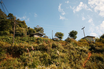 The electric cables is located on the mountain and forest at countryside in Thailand