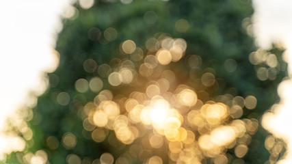 Beautiful bokeh blur, sunlight that passes through the tree, for making the background