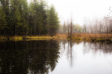 beautiful forest lake on a cool autumn morning