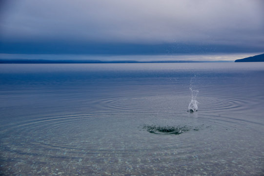 Todos los derechos reservados.