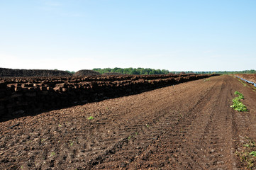 Torfabbau, tote Moore bilden fossile Brennstoffe, sind tote Biomasse