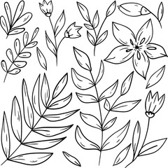 Contour vector illustration with flower, blossom and leaf on white background. Good for printing. Isolated set with flowers. Cute spring bouquet. Doodle style, coloring book ideas.