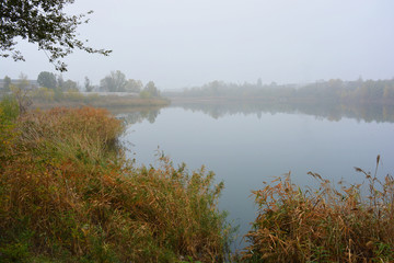 Naklejka na ściany i meble Beautiful landscape, autumnal nature with white dense fog over Career Lake, Dnipro city, Ukraine. Tall trees and large shrubs with yellow leaves around a clean and beautiful lake.