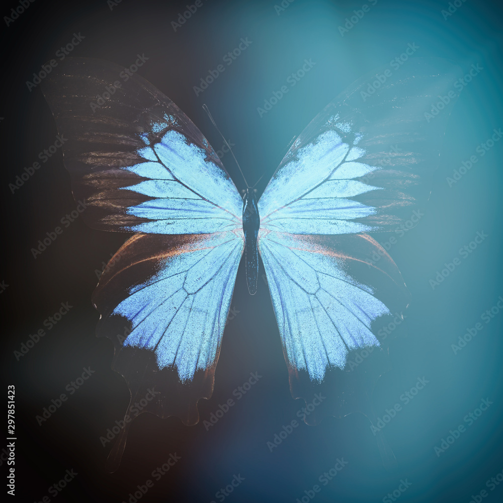 Poster colored butterfly on a black background with a beautiful glow.