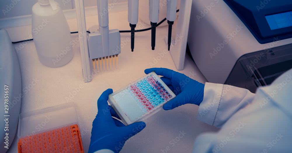 Poster Scientist works in modern laboratory with different color samples