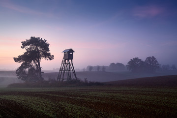 Deer hunting pulpit on a field at dawn.