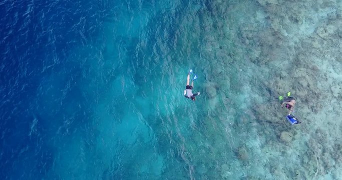 Top down drone view zooming on couple snorkeling on clean emerald water near shore of Pulau Biola island