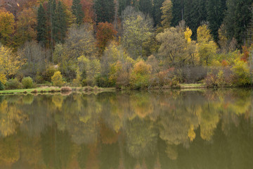 Herbst in Möhringen