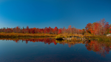 lake in autumn