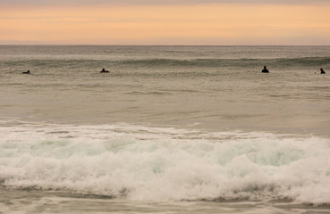 Fototapeta premium Surfer at sunset