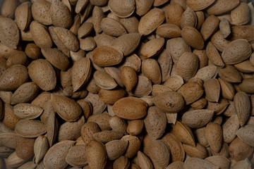 Light brown almond fruit. 