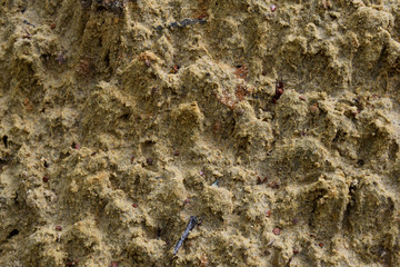 Texture, yellow uneven sand with the texture after the rain