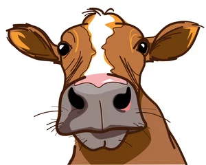 Fotobehang Farm, curious cow looking at you - vector image © StanMikov 