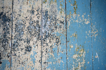 Texture of old wooden fence, with cracked blue paint