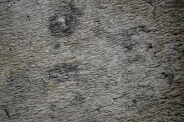 Texture of old concrete wall, gray color