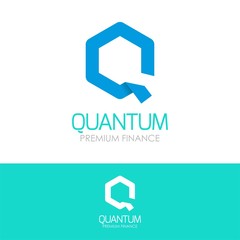 Letter Q Logo Vector