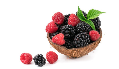 Raspberries and blackberries on white background.