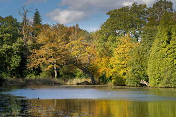 Autumn by the lake at Swinton