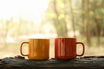 Color cups on trunk. Beautiful forest, space for text