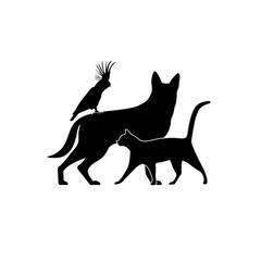 silhouette group of pets vector illustration