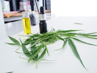 Fototapeta premium Cannabis with extract oil in a bottle