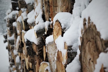 Frozen Woodpile 