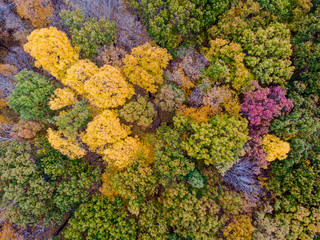 Drone photo of peak foliage upstate New York during the autumn fall season.