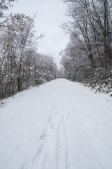 Obraz premium chemins d'hivers