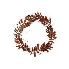 Dried leaves frame composition . Imitation of beautiful autumn wreath on white background isolation . Photo