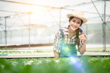 Fototapeta premium Portrait of young woman farmer harvesting vegetable from hydroponics farm in the morning.Organic fresh vegetable,Farmer working with hydroponic vegetables garden at greenhouse.copy space.