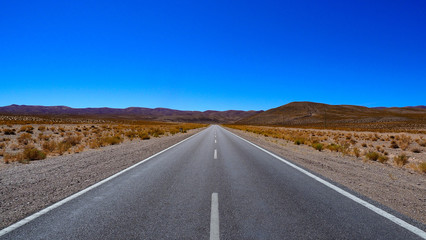 Fototapeta na wymiar Long Desert Road - Argentina 