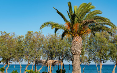 Mittelmeer in Horizont im Süden auf der Insel Kos Griechenland