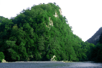 the green Mountain landscape with trees near the river